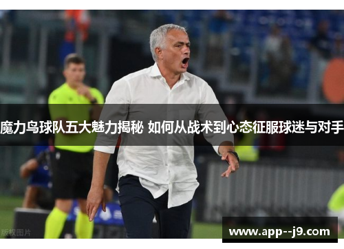 魔力鸟球队五大魅力揭秘 如何从战术到心态征服球迷与对手