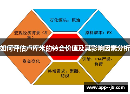 如何评估卢库米的转会价值及其影响因素分析