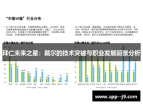 拜仁未来之星：戴尔的技术突破与职业发展前景分析