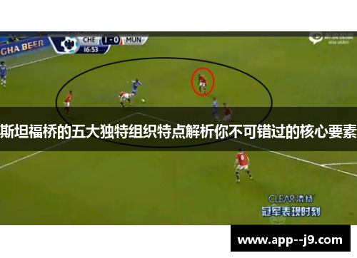 斯坦福桥的五大独特组织特点解析你不可错过的核心要素 斯坦福桥的五大独特组织特点解析你不可错过的核心要素